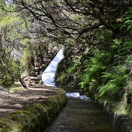 شقة Casas Do Forte Do Pico فونشال المظهر الخارجي الصورة